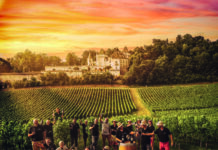 Bordeaux : L’automne à travers les vignes